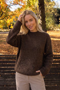 Pull en Laine et Alpaga Pailleté à Col Ras du Cou